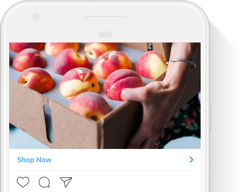Instagram Ads